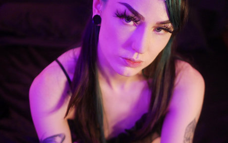 disturbedsnow étoile de haute qualité image