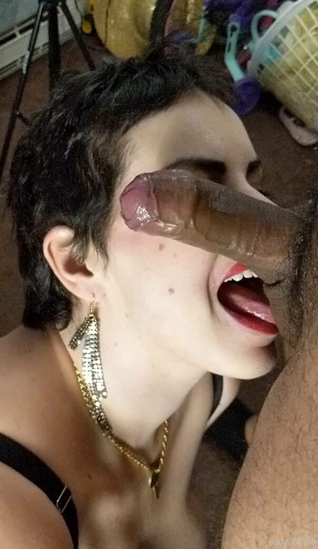 jody whoa libre de estrellas recopilación