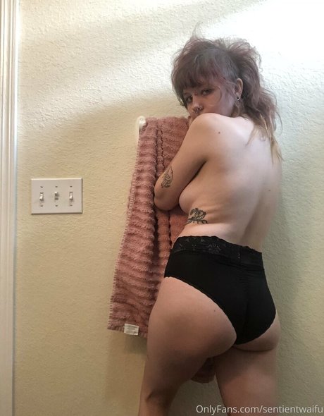 sentientwaifu nus étoiles image