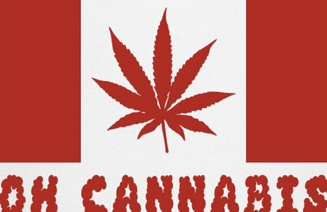 curvaceous barbie star du porno sympa galerie