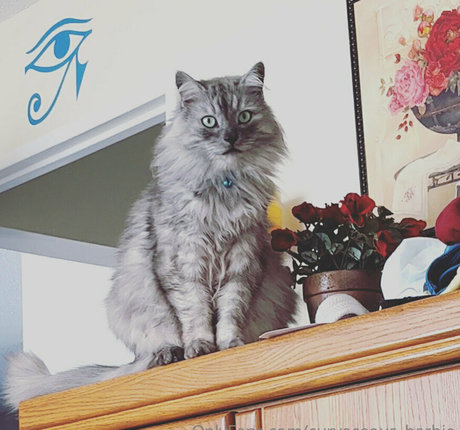 curvaceous barbie meilleur modèle galeries