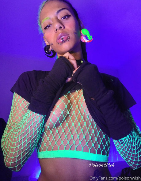 poisonwish arte modelo galerías