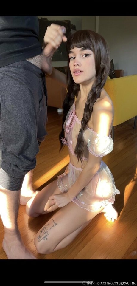 Thekorokfairy estrella adulta archivo