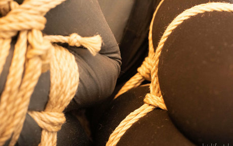 dojolifestyle modelo exclusivo imágenes