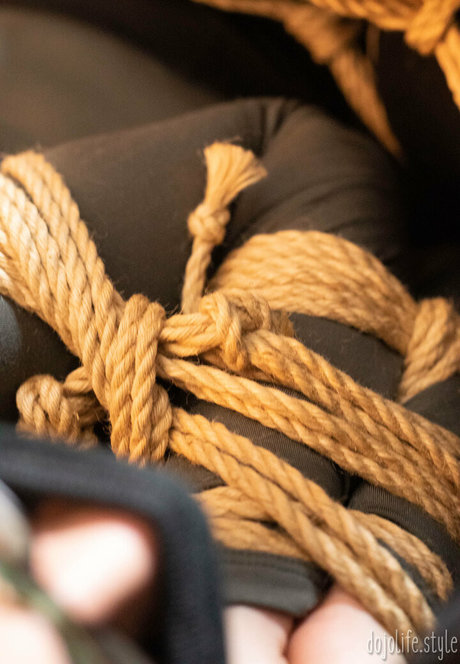 dojolifestyle belle star du porno image