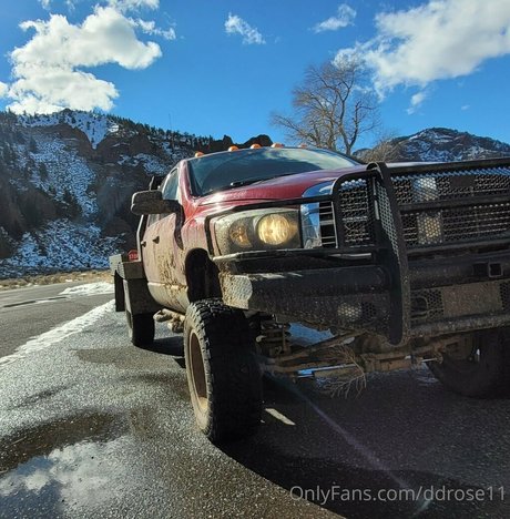 ddrose11 modèle joli images