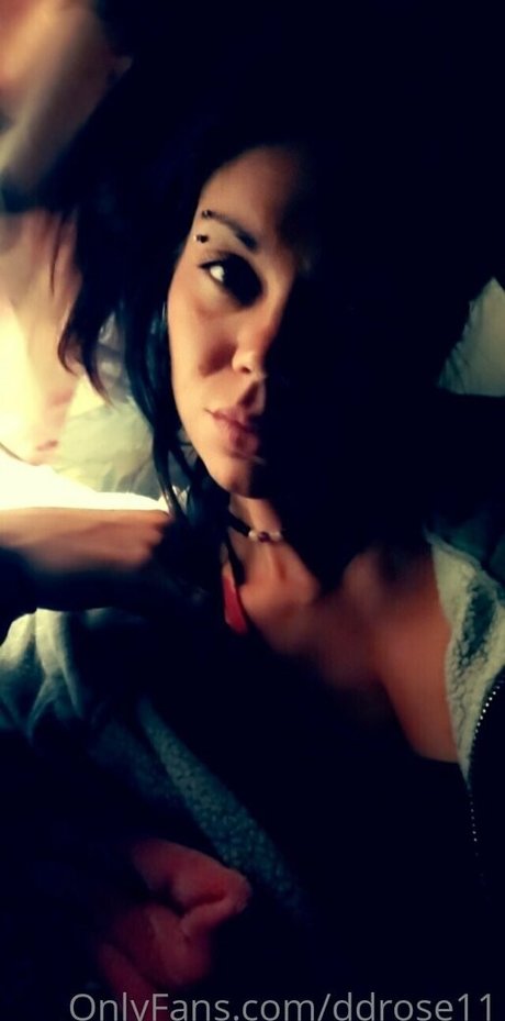 ddrose11 étoile de haute qualité galerie