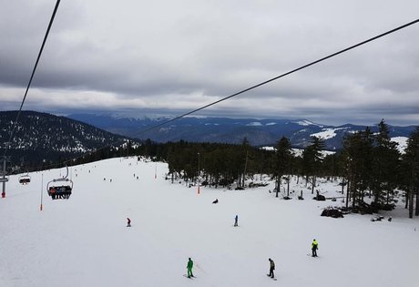 Andreea Ungur actriz de arte archivo