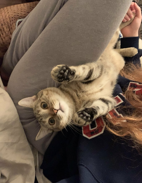 sexyredinbedfree actriz adulta archivo