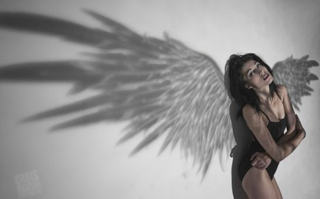 missfayevip pornstar top images