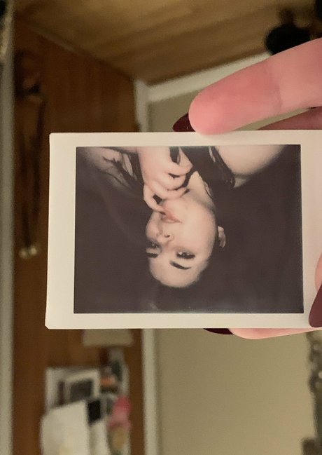 maisonfoxqueen actriz archivo