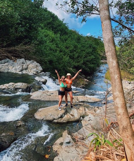 Taylor Z étoile adulte image