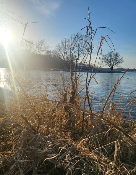 ur succubus gf étoile de l'art images