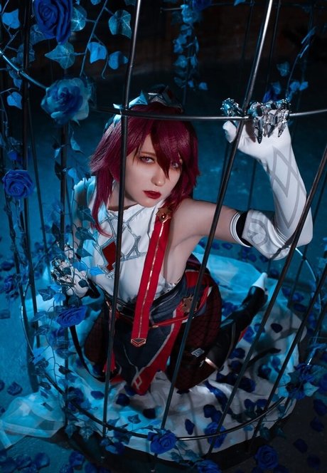 Erodaicon art de star du porno image