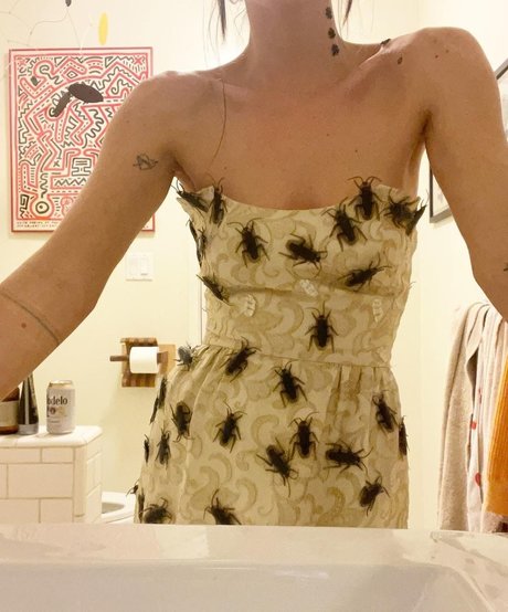 Scout Willis actriz galería