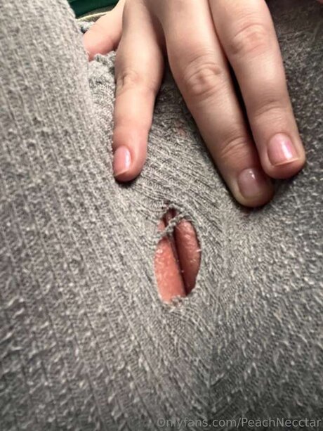 peachnecctar étoile hd galerie