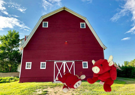 Marie Sweets modelo erótico imagen