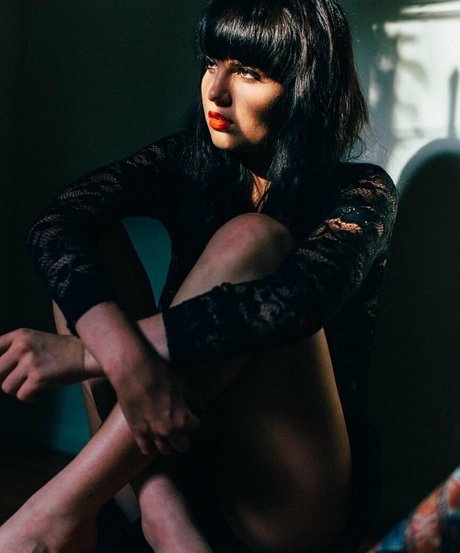 bambicat estrella bonita imágenes