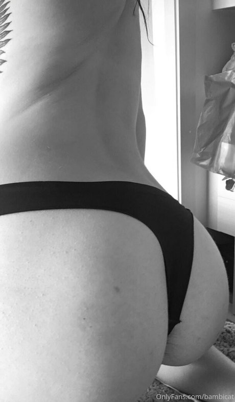 bambicat xxx étoile collection