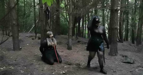 rosejadestorm Miniatura