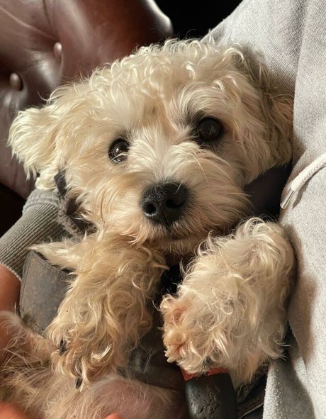 Lottie Blooms actrice chaude photos