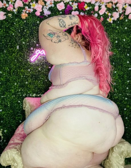 spanxbeluga étoile adulte image