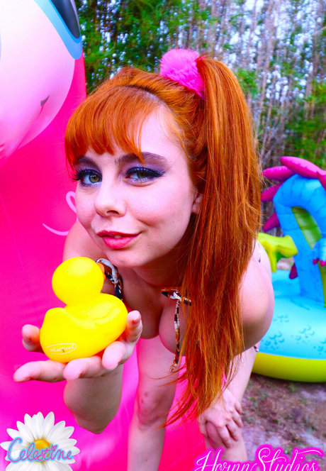 theshaecelestine jolie actrice archive