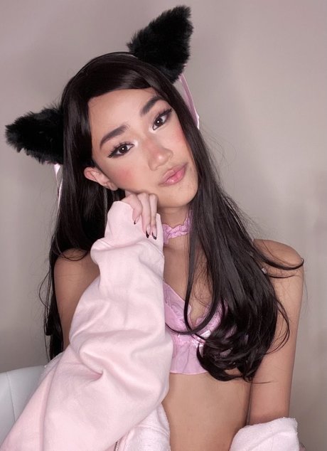 Kxobby sexe de star du porno collection