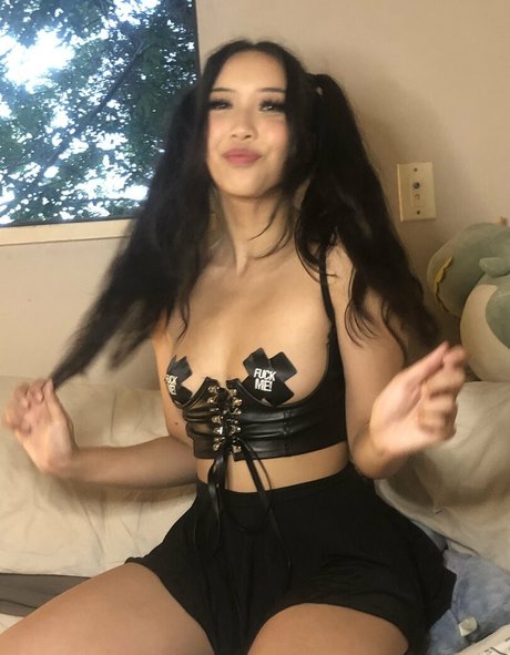 woxbox étoile magnifique image