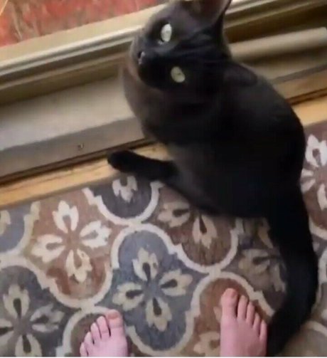 Awakeproductions estrella de alta definición galería