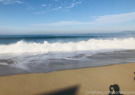 toridanyels étoile de l'art collection