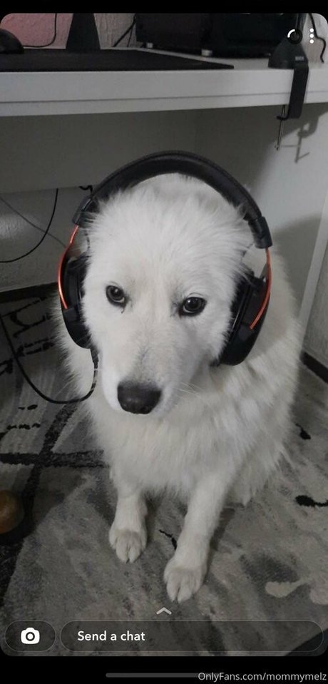 mommymelz Image de profil