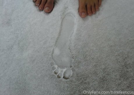 barefeeticus estrella perfecta fotos