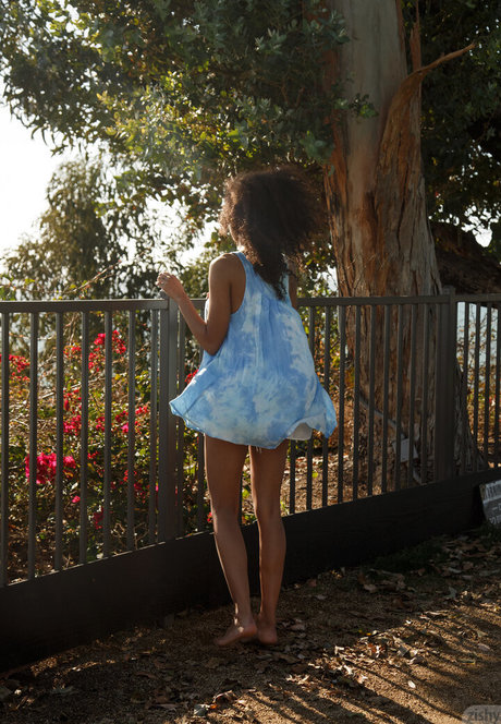 Dreamfuck420 nus de stars du porno photos