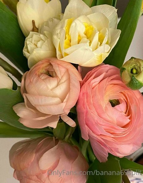 banana69split arte estrella porno foto