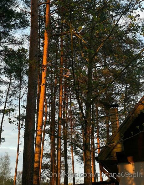 banana69split estrella porno de alta calidad imagen