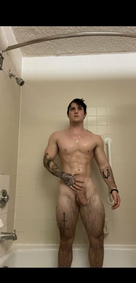 deek aesthetic estrella atractiva galerías