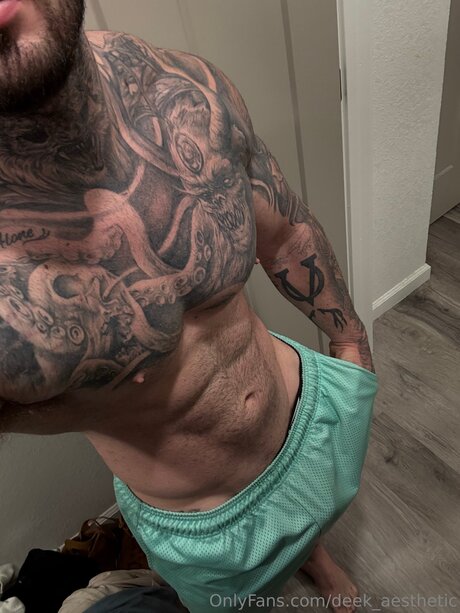 deek aesthetic art de star du porno image