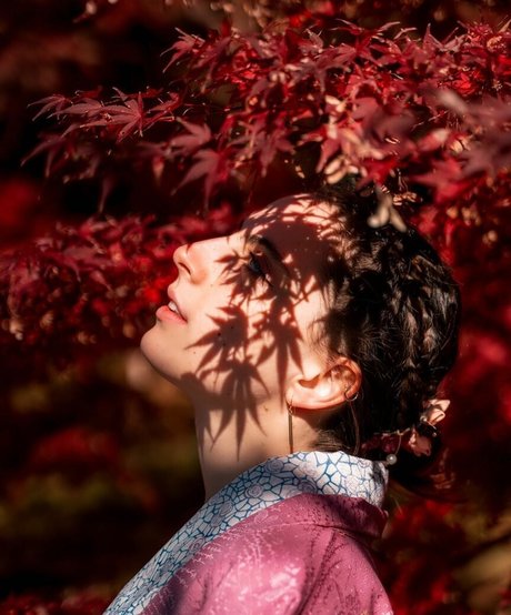 Seerasan jolie étoile img