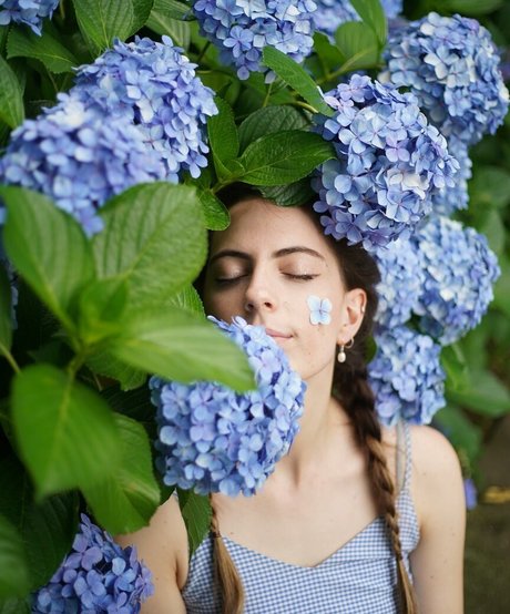 Seerasan star du porno belle galerie