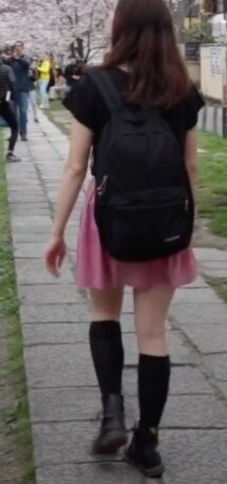 Seerasan estrella libre imagen