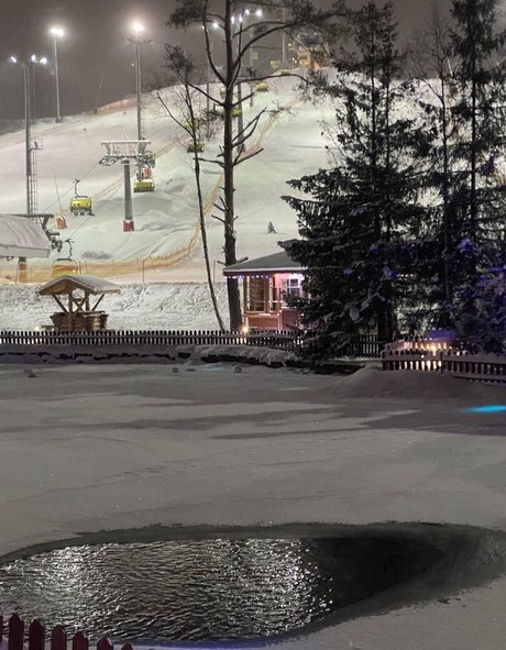 sweetmossy art modèle galeries