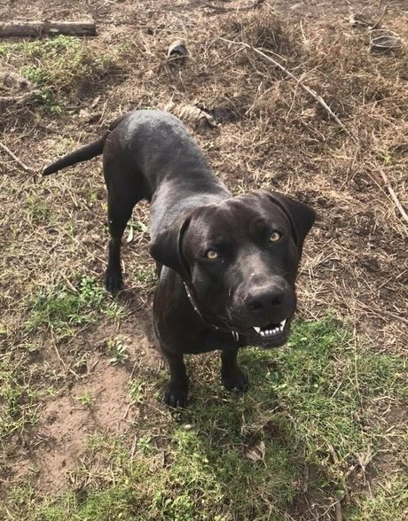 naughtyvettech star du porno gratuit archive