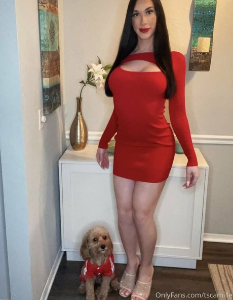 tscamille modèles nus image