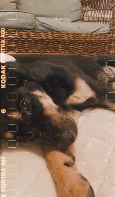 Leah Booth estrella porno agradable fotos