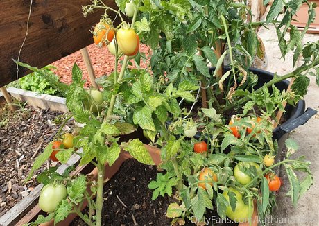 kathianobilixx estrella porno hd archivo