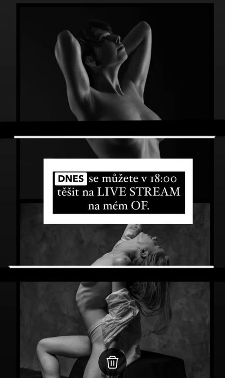 pgraphyfree étoile gratuite images