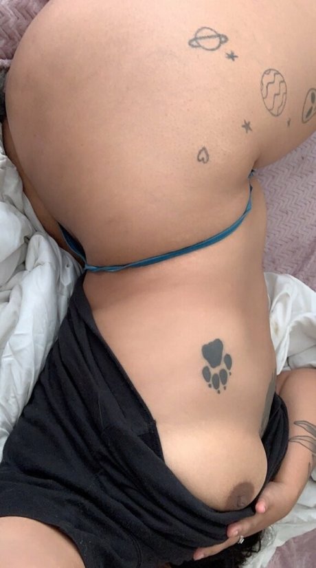 sundazed star du porno belle collection