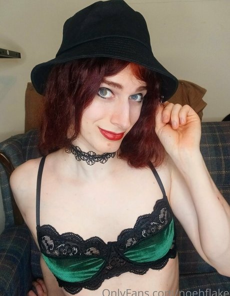 noehflake star du porno nue galeries