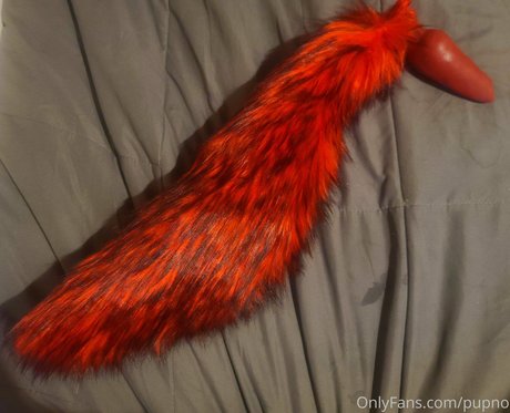 Kodi pup estrella del arte galerías